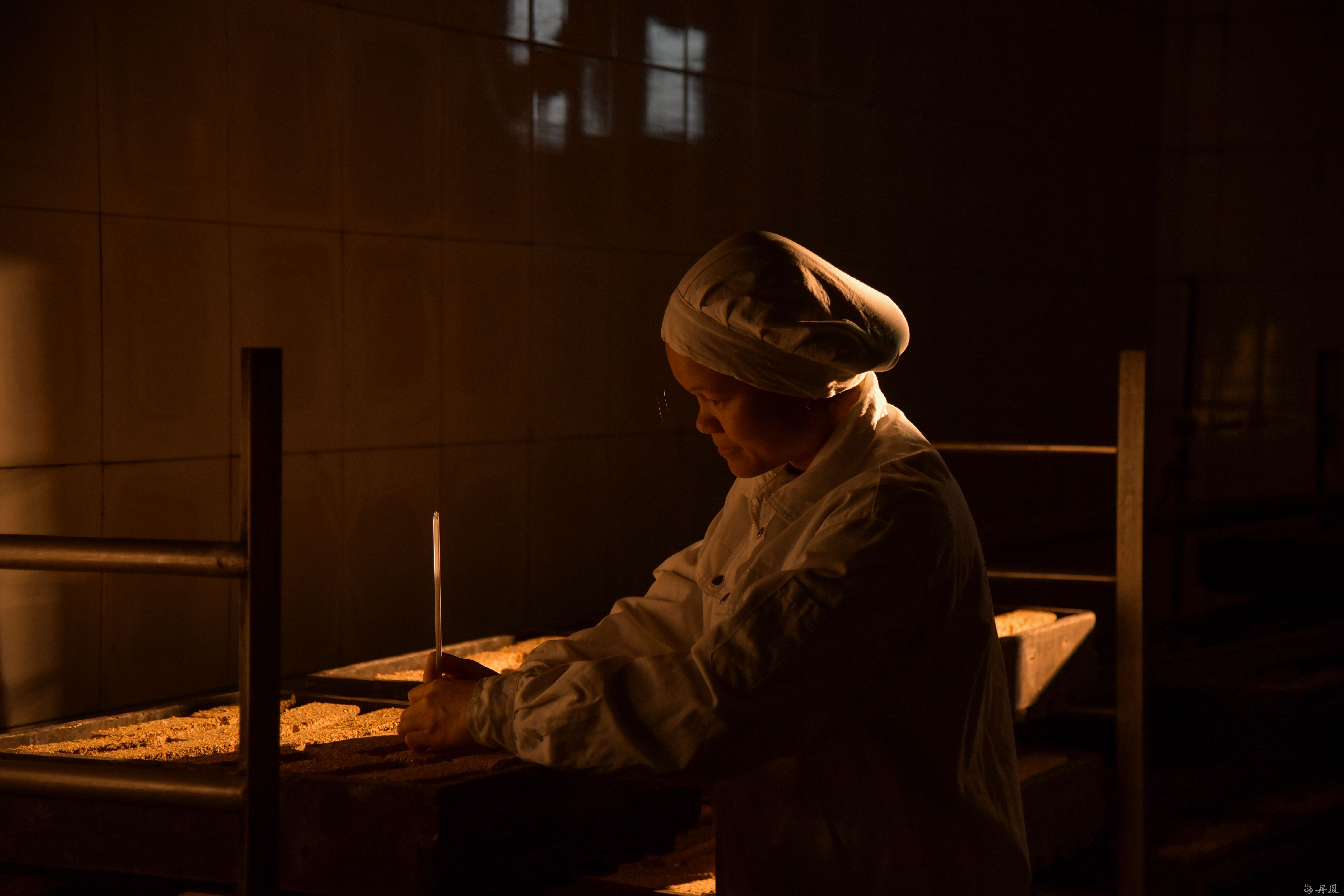 蒸煮、攤涼